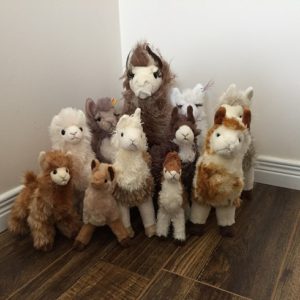 alpaca stuffies