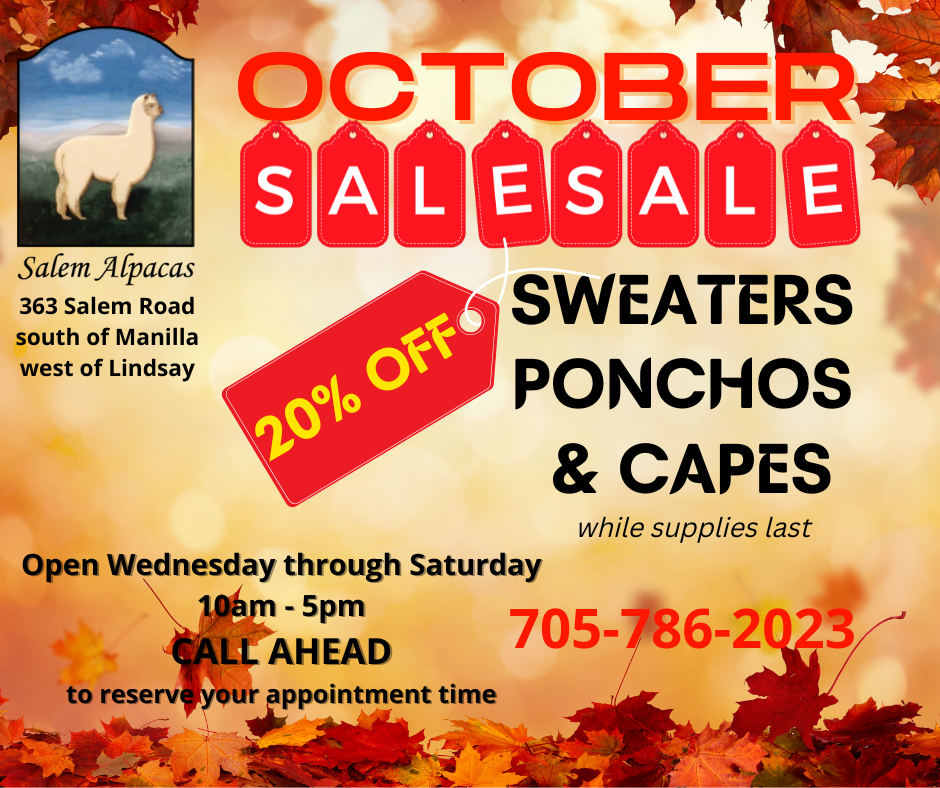 October 20% Sale
