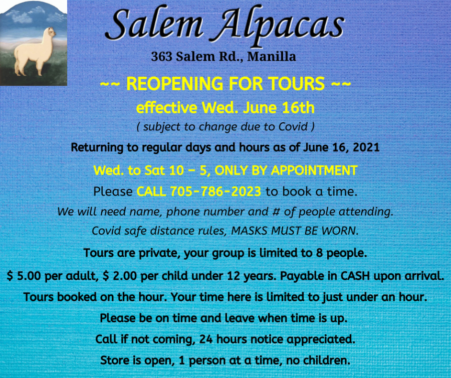 Salem Alpacas Alpaca Farm, Alpaca Wearables and Handmade Duvetss