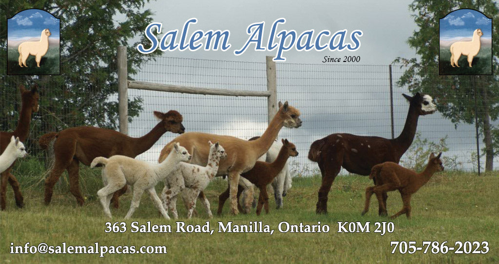 Salem Alpacas